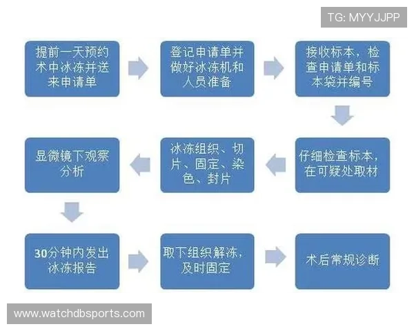 世界杯埃及伊朗比赛转播时间公布,如何在线观看比赛全流程详解 世界杯埃及伊朗比赛转播时间公布,如何在线观看比赛全流程详解